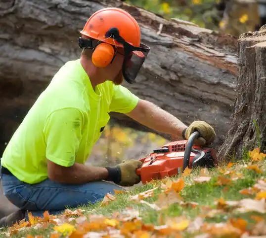 tree services Sikeston